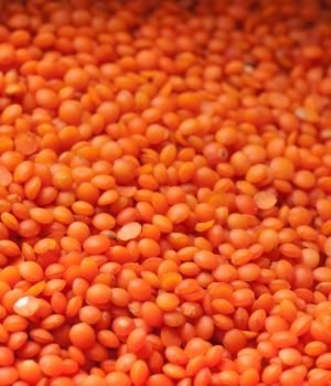 red-lentil-for-Australia